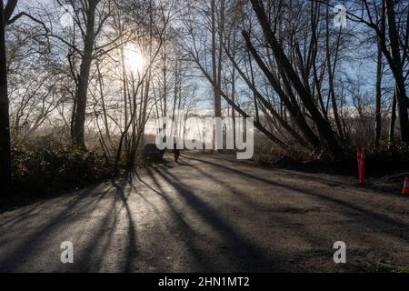 Burnaby Lake Regional Park Entrance Piper's Spit an einem foggy Tag im Wald von Bäumen im Winter. Stockfoto