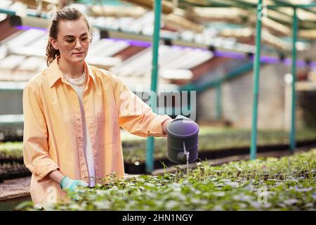 Junge hübsche Arbeiterin eines großen modernen Gewächshauses, die grüne Sprossen gießt, die in kleinen Töpfen wachsen, die in langen Reihen stehen Stockfoto