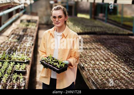 Junge ernsthafte Bäuerin in Freizeitkleidung, Handschuhen und Brillen, die kleine Töpfe mit Sprossen halten, während sie im Treibhaus arbeitet Stockfoto