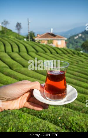 Ein Glas traditionellen türkischen Tees mit wunderschönen Teeplantagen im Hintergrund in der Türkei. Stockfoto