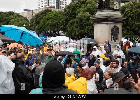 Protest vor dem parlament in Wellington, Neuseeland, 13. Februar 2022 Stockfoto