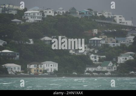 Bei stürmischem Wetter in der Evans Bay, Wellington, Neuseeland, an einem Hang gelegene Häuser Stockfoto