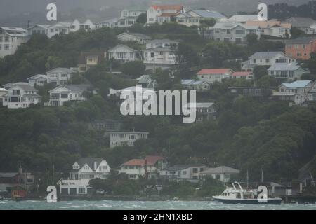 Bei stürmischem Wetter in der Evans Bay, Wellington, Neuseeland, an einem Hang gelegene Häuser Stockfoto