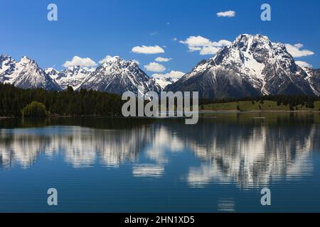 Jackson Lake und Mt. Moran im Juni, Grand Teton NP, Wyoming Stockfoto