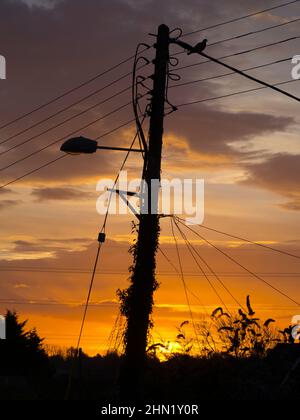 Überwuchertes Straßenlicht in Radley Village bei Sonnenaufgang g2 Stockfoto