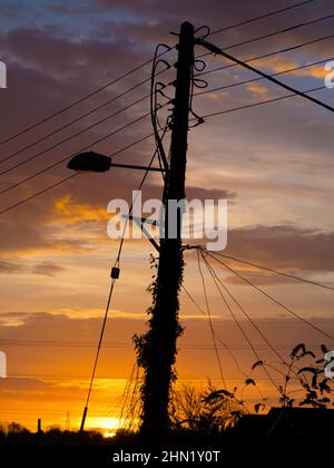 Überwuchertes Straßenlicht in Radley Village bei Sonnenaufgang G1 Stockfoto