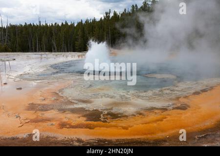 Solitary Geyser, auf dem östlichen Pfad zum Observation Point, am Old Faithful Geyser Basin, Yellowstone NP, Wyoming, USA Stockfoto