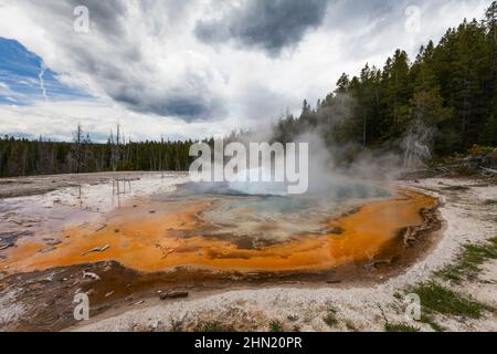Solitary Geyser, auf dem östlichen Pfad zum Observation Point, am Old Faithful Geyser Basin, Yellowstone NP, Wyoming, USA Stockfoto