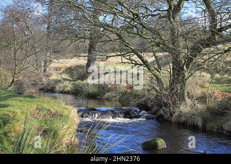 Padley Gorge Trail, Hope Valley, Derbyshire Stockfoto