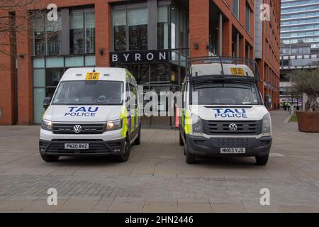 Britische Polizei Riot Vans Stockfoto