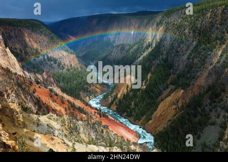 Regenbogen- und Sommergewitter, über dem Yellowstone Grand Canyon und dem Fluss, Yellowstone NP, Wyoming, USA Stockfoto