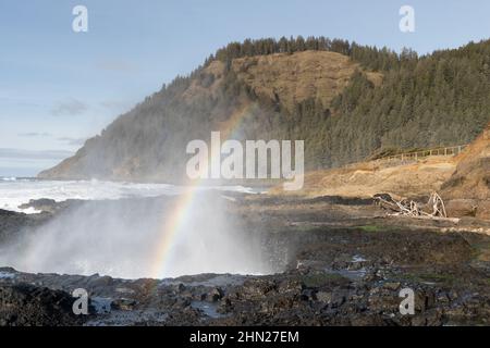 Regenbogen- und Ozeanspray, gebildet als eine Welle mit einer hochgefahrenen Meeresterrasse kollidiert. Cape Perpetua, Oregon, im Hintergrund. USA Stockfoto