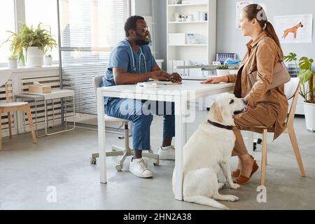 Glückliche junge Frau mit labrador-Haustier, die vor dem afroamerikanischen männlichen Tierarzt in blauer Uniform im medizinischen Büro am Schreibtisch sitzt Stockfoto