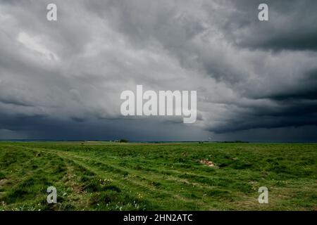 Ein vorhersehender, dramatischer, dunkelgrauer Gewitter wolkelt den Himmel über einem offenen Grasflugplatz und grünen Wiesen Stockfoto