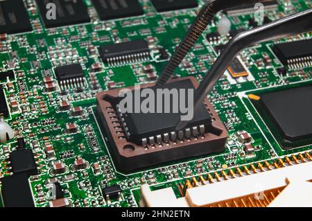 Die integrierte Schaltung wird über eine Pinzette an der PLCC-Buchse auf der Leiterplatte mit integrierten Schaltungen und vielen anderen passiven elektrischen Komponenten installiert Stockfoto