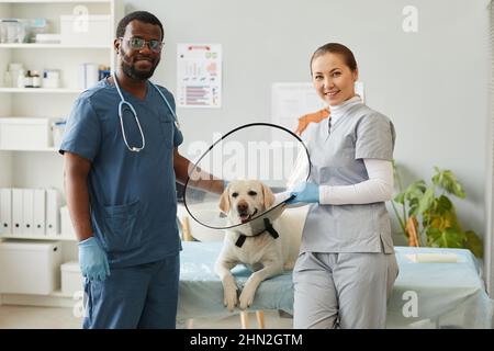Glücklicher junger afroamerikanischer Tierarzt und sein Assistent stehen bei einem Tierpatienten mit einem Kragentrichter um den Hals Stockfoto
