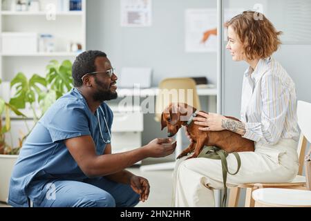 Glücklicher junger Tierbesitzer, der sich mit einem afroamerikanischen männlichen Tierarzt in blauen medizinischen Scrubs beraten hat, der auf Kniebeugen vor ihr sitzt Stockfoto