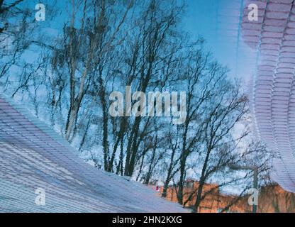 Spiegelung von Baumzweigen in einer Pfütze nach Regen. Frühlingshintergrund. Stockfoto