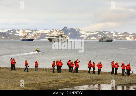 Le Boreal-Kreuzfahrtpassagier beobachtet Gentoo-Pinguine an der Küste der chilenischen Antarktisbasis auf der King George Island, Antarktis. Stockfoto