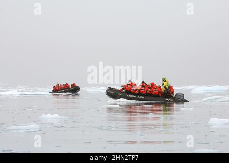 Zwei Tierkreisschiffe, die Passagiere von Kreuzfahrtschiffen vom Le Boreal auf einer Exkursion in Paradise Bay, Antarktis, mit einem dritten Boot in der Ferne befördern. Stockfoto