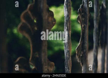 Geschmiedete Metallzaunstangen aus nächster Nähe, Vintage-Kunstdetails Stockfoto