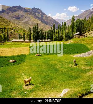 Ein kleiner Bauernhof in der Nähe von Margib Dorf in den Bergen von Tadschikistan Stockfoto