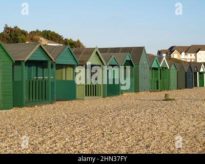 Grün gestrichene Strandhütten in Lee-on-the-Solent, Hampshire, England Stockfoto