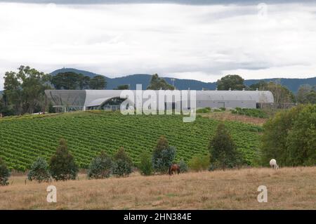 Weingut Levantine Hill im Yarra Valley, Victoria, Australien Stockfoto