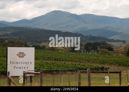 Weingut Dominique Portet im Yarra Valley, Victoria, Australien Stockfoto