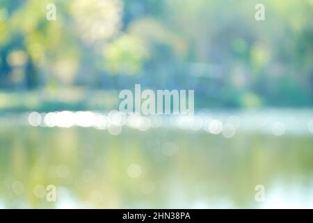 Abstraktes, natürliches Grün, verschwommenes Licht mit Bokeh am Meer, unscharfer Hintergrund von Bäumen, Bokeh und glitzernder, kreisförmiger Animation Stockfoto