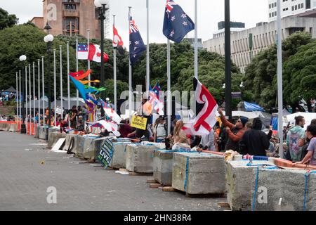 Menschenmenge, die vor dem parlament in Wellington, Neuseeland, gegen kovidierte Impfstoffmandate protestiert Stockfoto