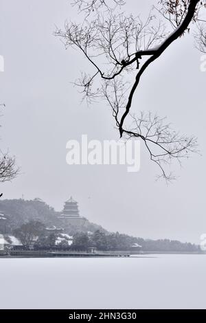 Sommerpalast nach Schnee Stockfoto