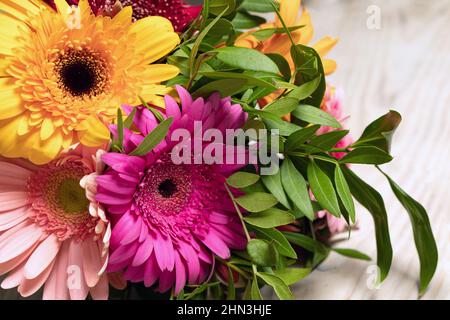 Nahaufnahme einer wunderschönen, farbenfrohen, weiß-roten Mischung aus Gerbera-Blüten auf weißem Hintergrund. Grußkarte mit Platz für die Beschriftung. Botanisch Stockfoto