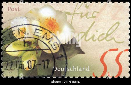 Briefmarke aus der Bundesrepublik Deutschland in der V-Serie aus dem Jahr 2004 Stockfoto