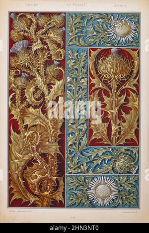Art Nouveau Lithograph Druck von Anton SEDAR. Pflanzenserie: Carduus. 1900 Anton Johann Nepomuk Seder (1850 - 1916) war ein deutscher Maler und Dekorateure, Stockfoto