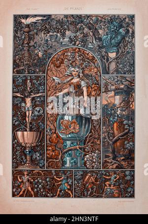 Art Nouveau Lithograph Druck von Anton SEDAR. Anlagenserien. 1900 Anton Johann Nepomuk Seder (1850 - 1916) war ein deutscher Maler und Dekorator, Professor Stockfoto