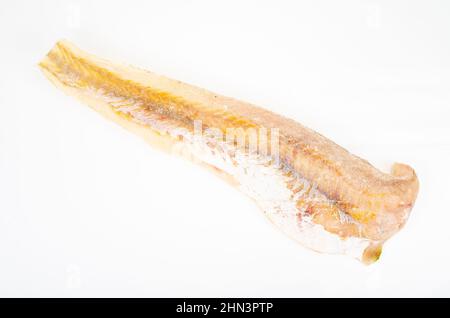 Ein gefrorenes, rohes weißes Fischfilet, isoliert auf weißem Hintergrund. Studio Photo Stockfoto