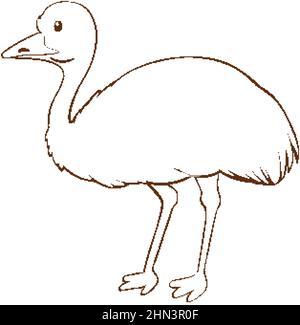 EMU in Doodle einfachen Stil auf weißem Hintergrund Illustration Stock Vektor