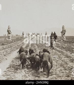 Vintage-Foto von einem kleinen lächelnden chinesischen Hirten geht durch die Gasse der alten Ming-Marmor Soldaten. Die Ming-Gräber. Nordchina. 1902 Stockfoto