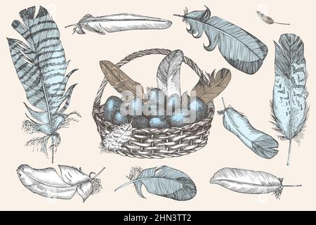 Set aus Ostereiern und realistischen Vogelfedern. Vintage-Gravur. Eingravierte Folklore. Grußkarte. Linie Kunst Ester Dekoration Design. Glücklich Stock Vektor