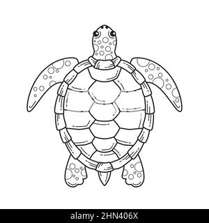 Handgezeichnete Schildkröte Umriss Illustration Vektor Illustration. Stock Vektor