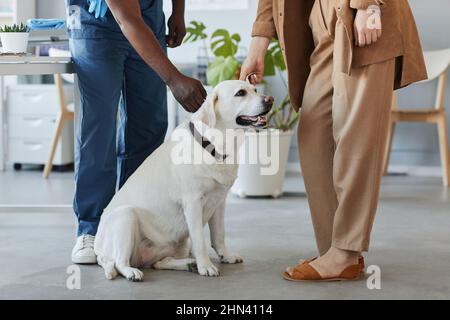 Kranker labrador-Hund, der auf dem Boden zwischen weiblicher Tierbesitzerin und Tierärztin in blauer Uniform in modernen Tierarztkliniken sitzt Stockfoto