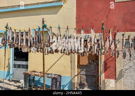 Trocknen von Fischen zur Herstellung traditioneller Stockfische auf Outdoor-Racks in Peniche. Portugal Stockfoto