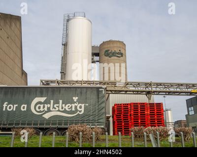 Carlsberg-Brauerei an den Ufern des Flusses Nene, Northampton, UK Stockfoto