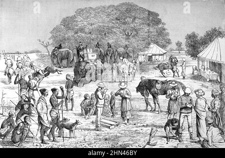 Wildschweinjagd oder Wildschweinjagd und Jäger mit Elefanten in Bengalen, Britisch-Indien oder im kolonialen Indien. Vintage Illustration oder Gravur 1880 Stockfoto