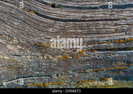 Alte gesprungene graue und grüne Holzstruktur Stockfoto