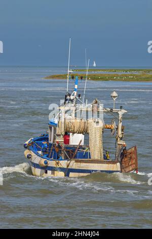 La baie de Somme sortie en bateau par grande marée Stockfoto