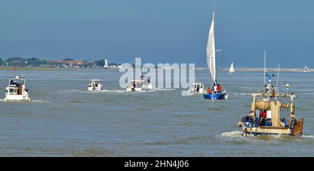 La baie de Somme sortie en bateau par grande marée Stockfoto