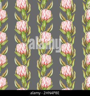 Handgezeichnet protea Blumen Muster für Tapete, Textil, Oberfläche, Mode, Hintergrund, fliesen, Schreibwaren, Wohnkultur, Möbel usw. Stockfoto