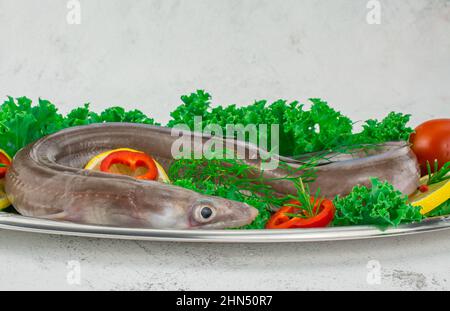 Ungekochte Reihe Conger Fisch mit Gemüse Stockfoto